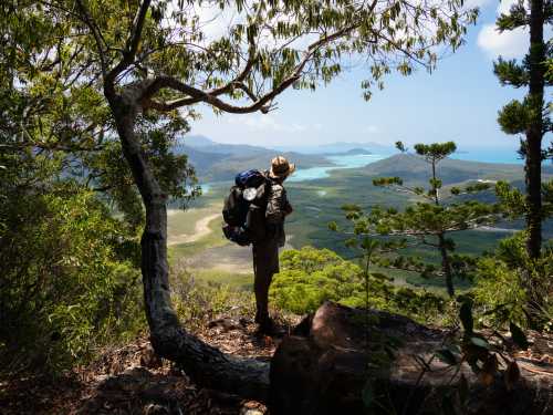 The Ngaro Track